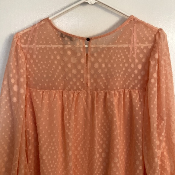 Ophelia Roe, Peach, Womens Blouse, Size XL - Picture 4 of 12